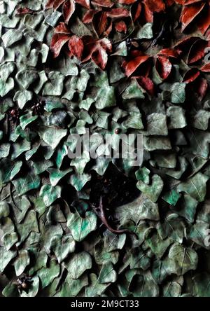 Barcelona, Spain - May 2018: The leaf-covered bronze door of the Nativity Facade in Gaudi's Sagrada Familia. Example of Gaudi's modernisme style Stock Photo