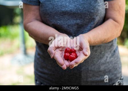 Woman holding homegrown cherry tomatoes in hands, background blur Stock Photo