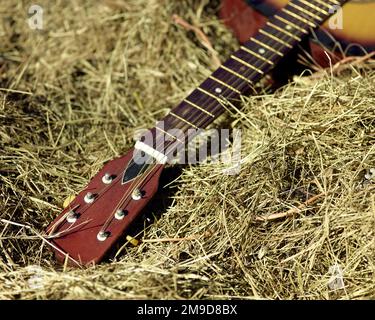 An old guitar laying in a hay bale Stock Photo