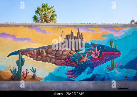 MEXICO La Paz Mural painting by Wyland of Sea of Cortez wildlife on wall of  downtown building Stock Photo - Alamy