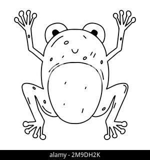 Funny frog in hand drawn doodle style. Cute animal. Coloring page activity. Isolated on white background Stock Vector