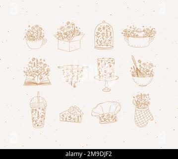 Sweets cooking appliances with flowers in hand drawing style on beige background Stock Vector