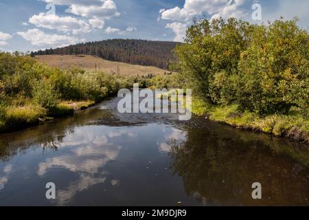 North Fork of the Big Hole River in the Bighole National Battlefield site in Montana. Stock Photo