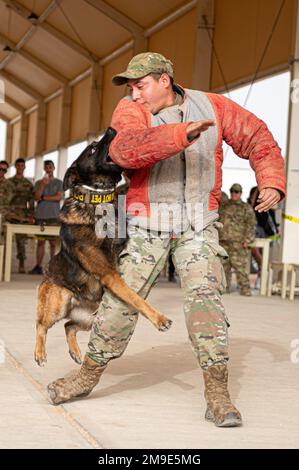 U.S. Air Force military working dog Ringo assigned to 378th Expeditionary Security Forces Squadron, attacks Staff Sgt. Miguel Guajardo, with the 378th ESFS, dressed in a padded decoy outfit, during a K-9 demonstration for Police Week, at Prince Sultan Air Base, Kingdom of Saudi Arabia, May 18, 2022. In 1962, President John F. Kennedy made May 15 National Police Officer Day and the week which May 15 falls on as National Police Week. The 378th ESFS will be hosting several events throughout the week to honor all those who have fallen and are stills serving. Stock Photo