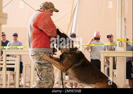 U.S. Air Force military working dog Ringo assigned to 378th Expeditionary Security Forces Squadron, attacks Staff Sgt. Miguel Guajardo, with the 378th ESFS, dressed in a padded decoy outfit, during a K-9 demonstration for Police Week, at Prince Sultan Air Base, Kingdom of Saudi Arabia, May 18, 2022. In 1962, President John F. Kennedy made May 15 National Police Officer Day and the week which May 15 falls on as National Police Week. The 378th ESFS will be hosting several events throughout the week to honor all those who have fallen and are stills serving. Stock Photo