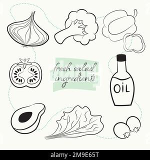 image collection of fresh salad ingredients in doodle style Stock Vector