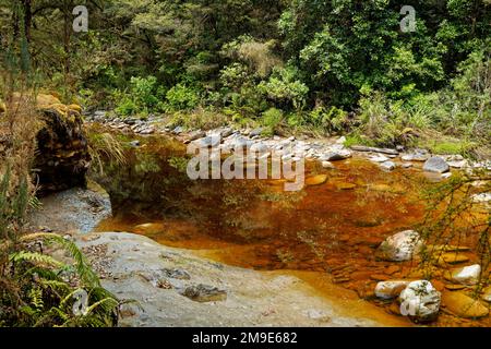 Slab Hut creek popular with gold panning prospectors. Reefton, Buller district, south island, Aotearoa / New Zealand. Stock Photo