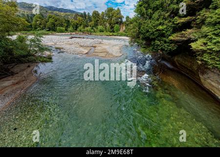 Waitahu river, Victoria Forest Park, Reefton, Buller district, south island, Aotearoa / New Zealand. Stock Photo