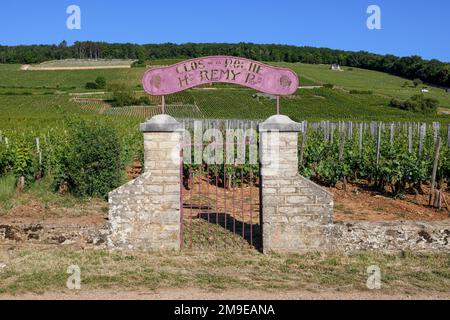 Stone gate at the vineyard of the Clos de la Roche winery, Route des Grand-Crus, Route of Fine Wines, near Morey-Saint-Denis, Cote-d'Or department Stock Photo