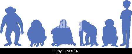 Five different types of great apes illustration Stock Vector