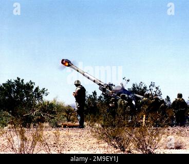 Tri Command U.S. Marines with Weapons and Field Training Battalion set up the ...