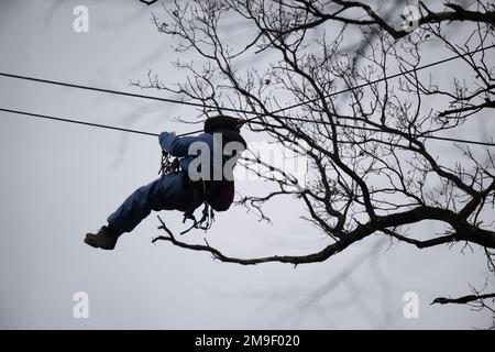 Hessen, Germany. 18 January 2023, Hessen, Frankfurt/Main: An activist hangs from a rope during the eviction of the occupation in Fechenheim Forest. The squatters are protesting against the planned expansion of the A66 with the Riederwald Tunnel, as around 1000 trees will have to be cut down for this. Photo: Sebastian Gollnow/dpa Credit: dpa picture alliance/Alamy Live News Credit: dpa picture alliance/Alamy Live News Stock Photo