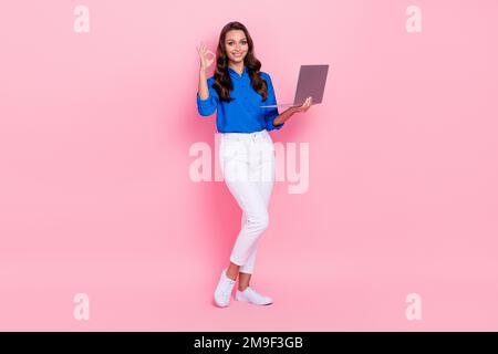 Full size photo cadre of positive girl wear blue shirt show okey symbol alright freelancer job done project sold isolated on pink color background Stock Photo