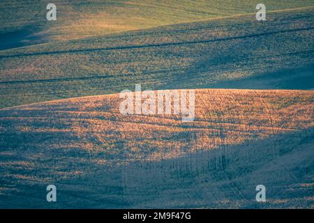 The landscape scenes in Palouse, Washington Stock Photo