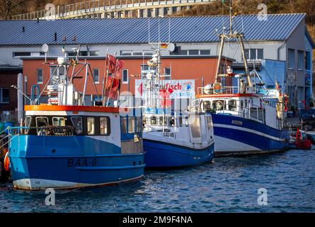 Sassnitz, Germany. 17th Jan, 2023. Fishing boats are moored in the fishing harbor. In the winter months, things are rather quiet at the jetties. Due to the low EU quotas for fish catches, many Baltic fishermen have given up and shut down their cutters. Credit: Jens Büttner/dpa/ZB/dpa/Alamy Live News Stock Photo