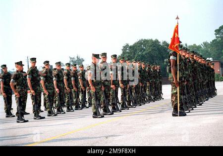 US Marine from Platoon 3064 Dresses Right at the 3rd Battalion Drill Field at Parris Island, South Carolina, on August 23rd, 2000. Base: Usmc Recruit Depot,Parris Island State: South Carolina (SC) Country: United States Of America (USA) Stock Photo