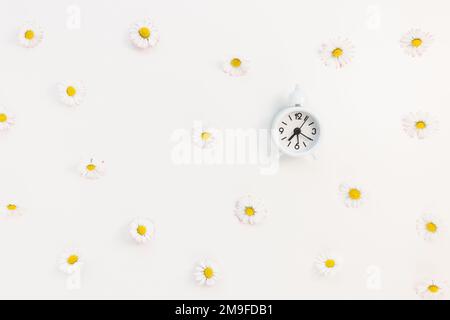 Small white clock with bell on white with fresh spring daisy flowers background. Spring forward, daylight saving time in March concept Stock Photo