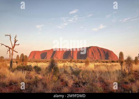 398 View of Uluru-Ayers Rock in the early morning under an almost clear sky. NT-Australia. Stock Photo