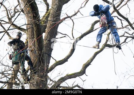 Hessen, Germany. 18 January 2023, Hessen, Frankfurt/Main: An officer of the height intervention team talks to an activist during the evacuation of the occupation in Fechenheim Forest. The squatters were protesting against the planned expansion of the A66 with the Riederwald Tunnel, as around 1,000 trees will have to be felled for this. Photo: Sebastian Gollnow/dpa Credit: dpa picture alliance/Alamy Live News Stock Photo