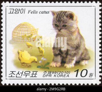 2010 North Korea stamp set. Cats. Kitten with chickens Stock Photo