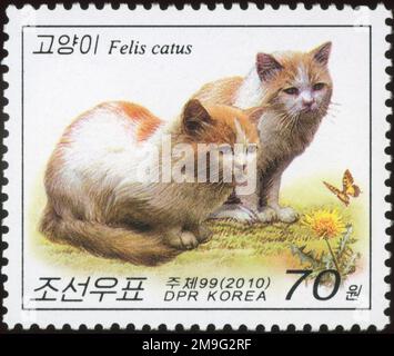 2010 North Korea stamp set. Cats. Cats with a butterfly Stock Photo