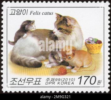 2010 North Korea stamp set. Cats. Cat with three kittens Stock Photo