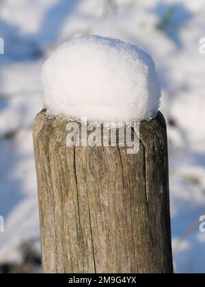 Round wooden posts of a wooden fence covered with snow hoods at a ...