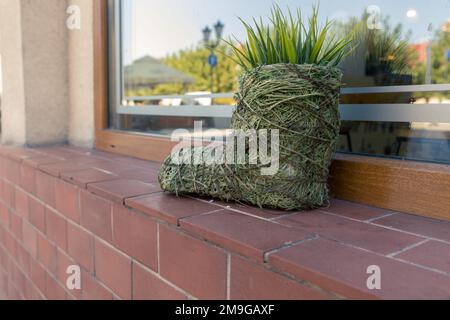 Grass growing from a shoe made of hay, an ornament on the window sill. Stock Photo