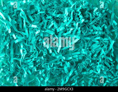 Mint green color shredded paper - gift box filler background. Stock Photo