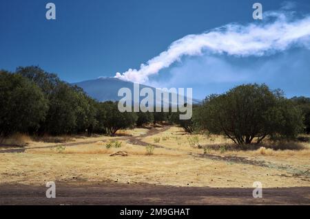 Mount Etna eruption from 'Piano delle Ginestre' in Sicily, Etna National Park, Italy Stock Photo