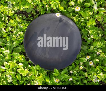 empty black plate on green meadow background, top view Stock Photo