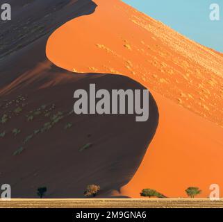 Landscape with sand dunes in desert, Sossusvlei, Namib Desert, Namibia Stock Photo