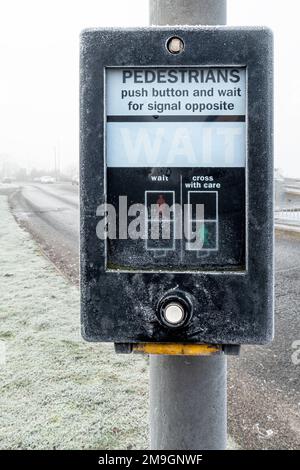 Frosted Puffin Crossing Stock Photo