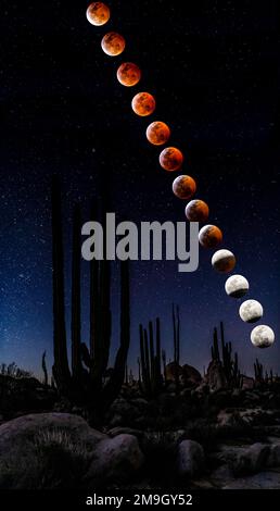 Digital composite shot of moon over desert with cacti, Mexico Stock Photo