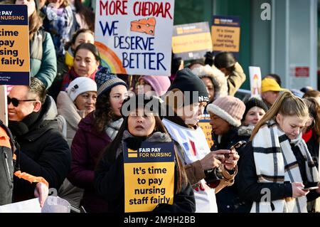 London, UK. 18th Jan, 2023. London, UK. Nurses man the picket line at University College Hospital. RCN members are taking part in two days of strikes on Wednesday and Thursday of this week at 55 NHS trusts in England. Credit: michael melia/Alamy Live News Stock Photo