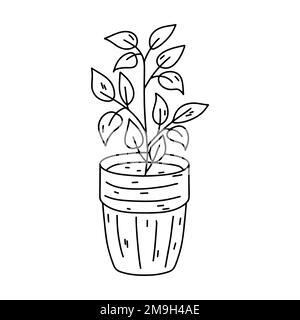 House plant in ceramic pot in hand drawn doodle style. Decorative potted house plant sketch illustration for print, web, mobile and infographics isola Stock Vector