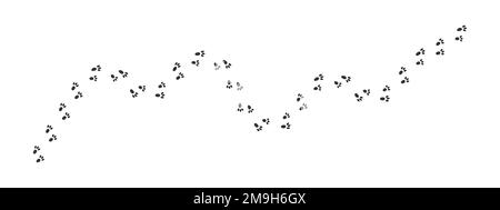 Bunny pawprints waving track. Hare feet steps. Wet or mud rabbit paw silhouettes. Trace of running or walking wild animal isolated on white background. Vector graphic illustration Stock Vector