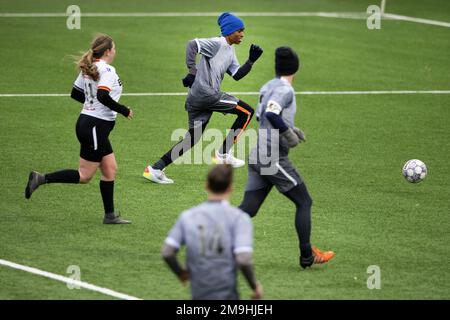 Masters Tata Steel Chess play soccer at Telstar