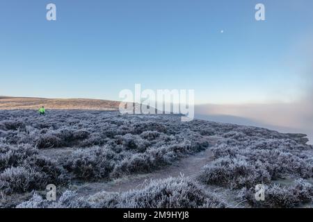 Breaking through the fog on Ilkley Moor on a cold day with thick frost on the heather. a runner is fell running on Ilkley Moor with the moon hight in Stock Photo