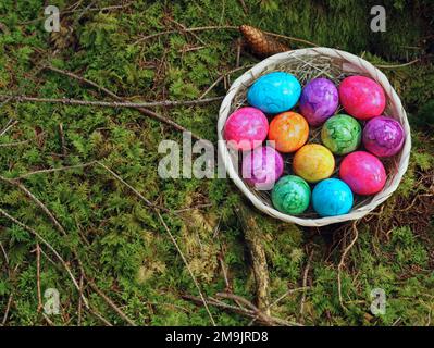 top view of colorful easter eggs in straw basket on natural green moss background in forest Stock Photo