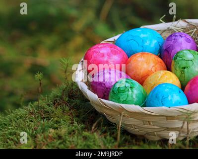 colorful easter eggs in a straw basket on green moss in the forest, close up of painted eggs Stock Photo