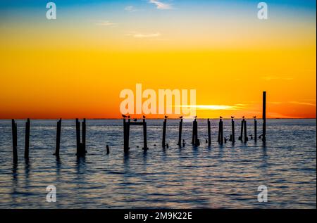 Sunset over Gulf of Mexico in St. Marks National Wildlife Refuge, Florida, USA Stock Photo