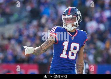 New York Giants' Isaiah Hodgins catches a touchdown pass during the second  half of an NFL football game against the Washington Commanders, Sunday, Dec.  4, 2022, in East Rutherford, N.J. (AP Photo/John