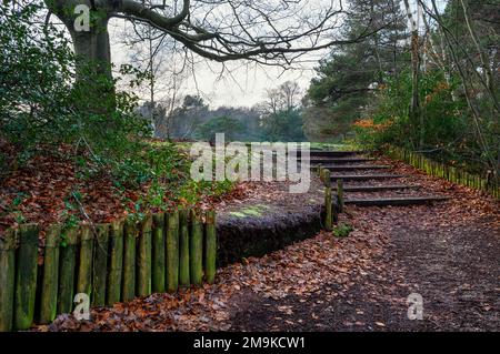 Keston Common near the village of Keston in Kent, UK. A footpath leading up some steps. Seen in winter near the Keston Ponds. Stock Photo