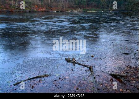 One of the Keston Ponds on Keston Common near the village of Keston in Kent, UK. A cold winter scene with ice on the surface of the pond. Stock Photo