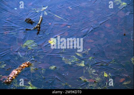 One of the Keston Ponds on Keston Common near the village of Keston in Kent, UK. Ice on the surface of the pond makes crystalline patterns. Stock Photo
