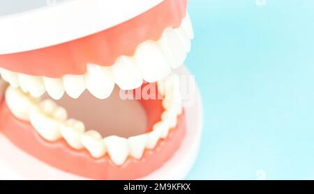 Front view of complete denture. Dental concept. False teeth, jaws. Dentistry conceptual photo. Prosthetic dentistry. False teeth. Mock tooth or tooth Stock Photo