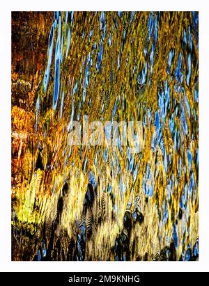Abstract photograph of ripples and reflections in water Stock Photo