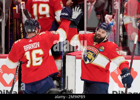 Barkov hi-res stock photography and images - Alamy