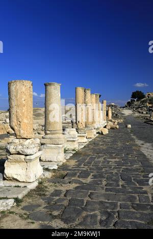 View over the ruins of the Decumanus Maximus street, Umm Qais town, Jordan, Middle East Stock Photo